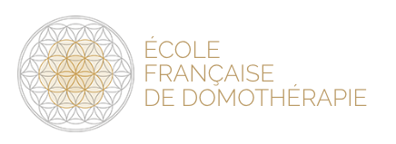 logo-école-françaose_domothétapie