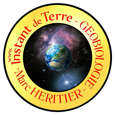 LOGO INSTER Marc Héritier